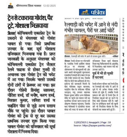 NGO Achievement
